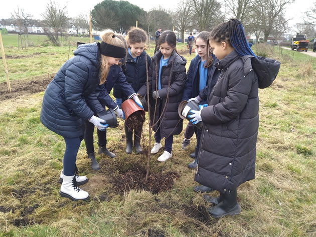 The planting was on a previously unused section of the playing fields