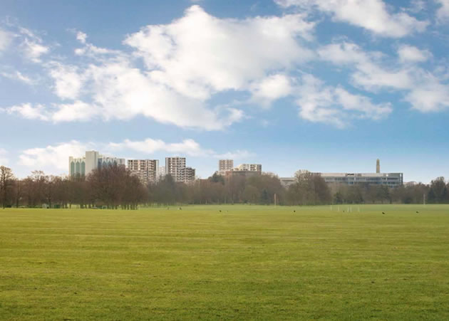 The development as viewed from Gunnersbury Park