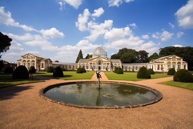 Dine Under the Stars at the Great Conservatory