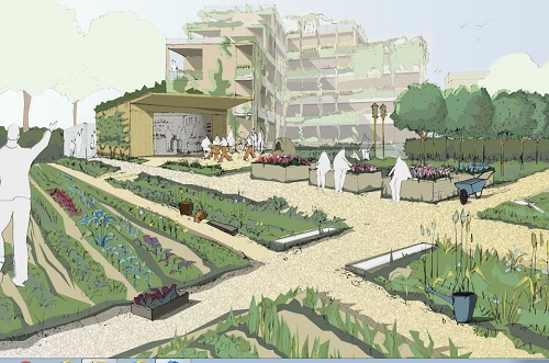artists impression Northfield allotments