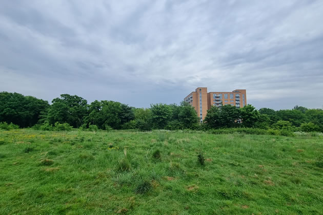 The view across the green space without the proposed development