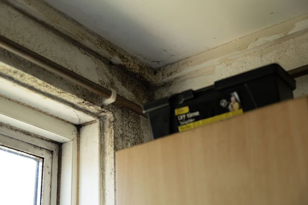 Mould on the ceiling and walls of Karoon Islaaw's flat