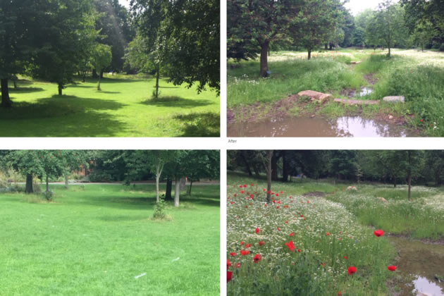 Before and after photos of Lammas Park from the planning documents 