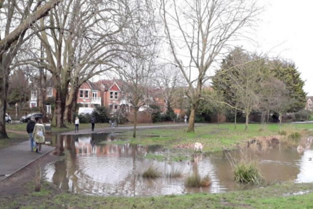 There is disagreement about how severe the flooding in the park was. Photo from planning documents taken before project commenced