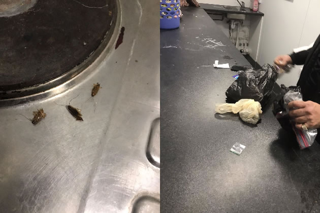 Pictures taken by resident showing cockroaches and drugs found at Marston Court