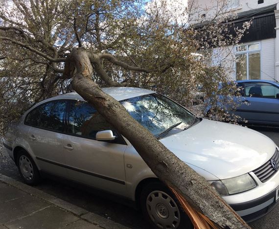 Storm damage Hanwell
