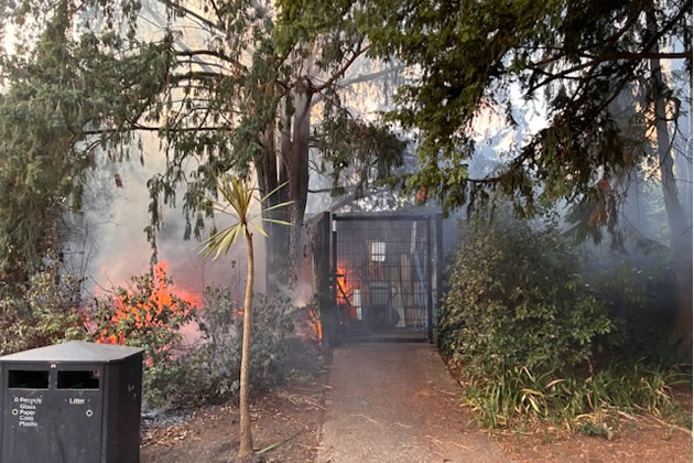 The fire takes hold on the edge of Walpole Park