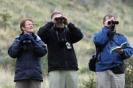 Bird watchers