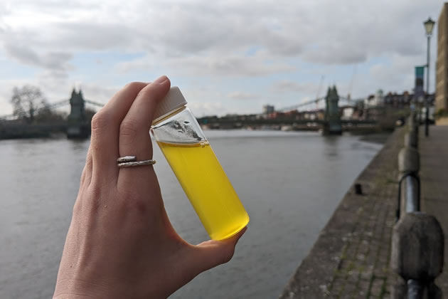 Water measurements were taken along the course including near Hammersmith Bridge